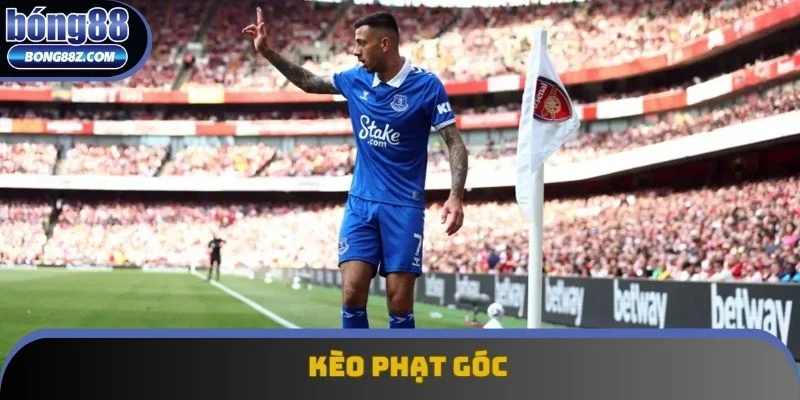 Cược phạt góc đang thu hút một lượng người chơi đông đảo