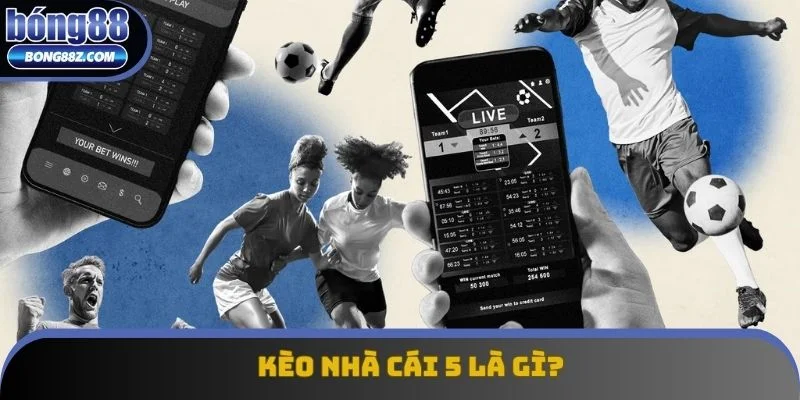 Kèo Nhà Cái 5: Lưu Ý Quan Trọng Mà Bất Kỳ Ai Cũng Cần Biết